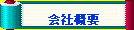 ЊTv